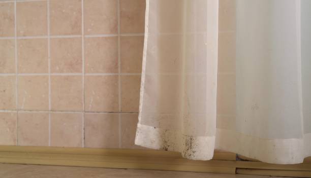 Best Residential Mold Inspection & Testing  in Moville, IA