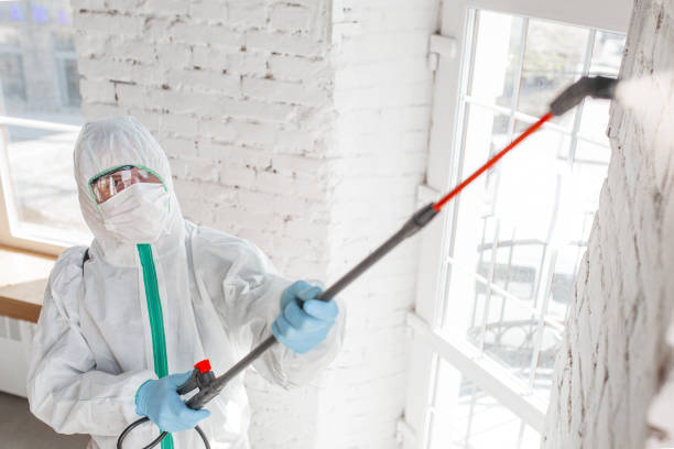 Best Mold Documentation for Insurance Claims  in Moville, IA