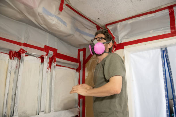 Best Comprehensive Air Testing for Mold Contaminants  in Moville, IA