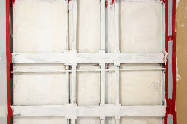 Moville, IA Mold Removal Company