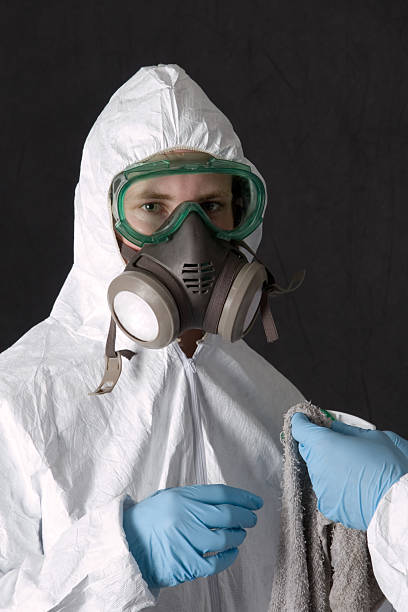 Best Mold Remediation for Healthcare Facilities  in Moville, IA